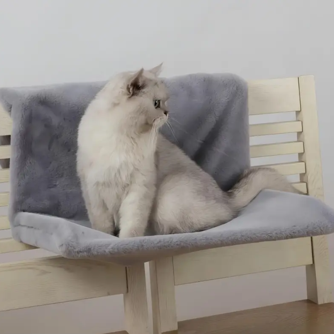 Almofada Suspensa para Gatos